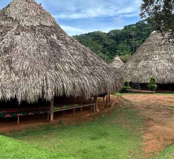 The Power of Volunteers: Connecting an Indigenous Community in Panama Thumbnail